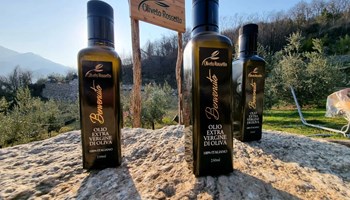 Trekking e degustazione olio extravergine di oliva 