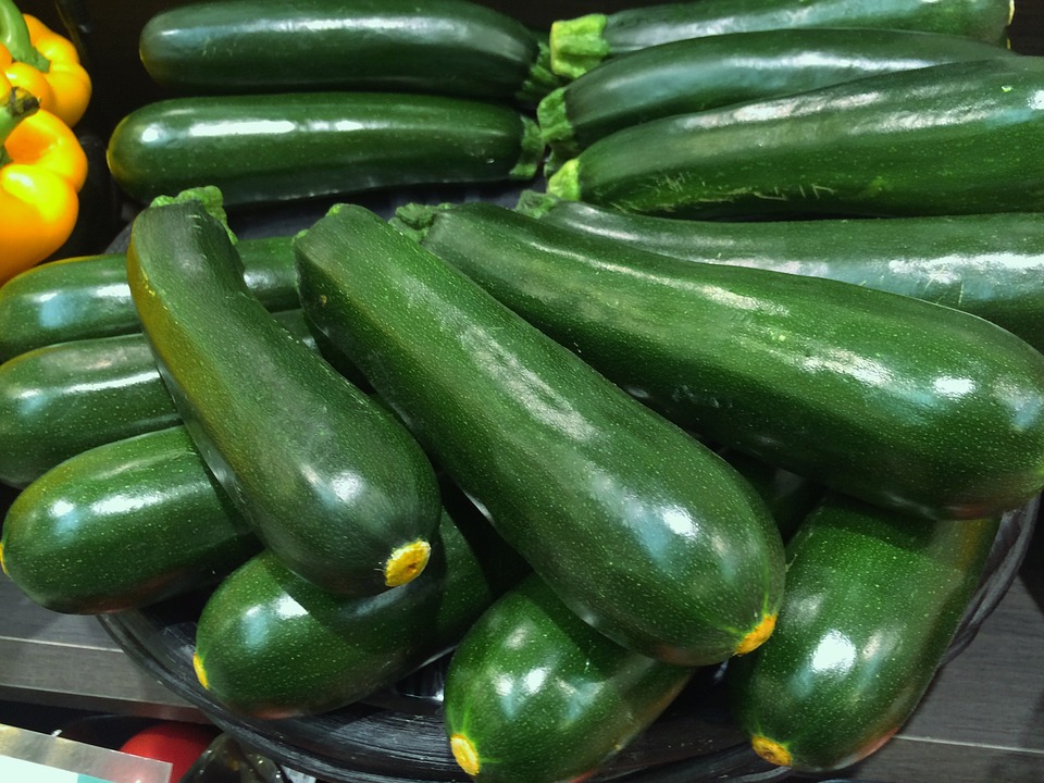 La zucchina, un ortaggio tipico dell’estate. Qualche idea per cucinarla: avete mai provato a farne un pesto?